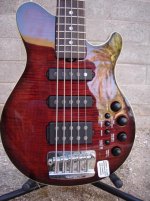 DSC07742.jpg