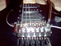 Silhouette_floyd_rose_n-pic.jpg