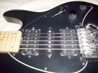 Silhouette_front_volume.jpg