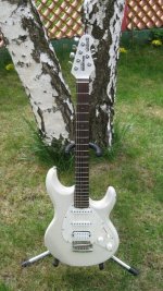 Silhouette Special 002a.jpg