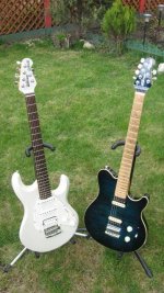 Silhouette Special 006a.jpg