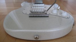 Silhouette Special 016a.jpg