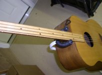 earthwood1.jpg