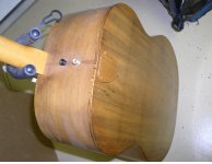 earthwood4.jpg