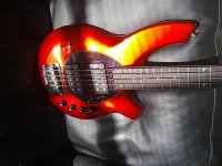 basses 040.jpg