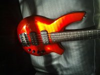 basses 039.jpg
