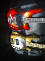 basses 043.jpg