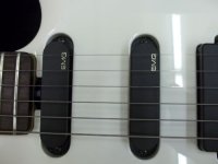 Luke White EMG`s.jpg