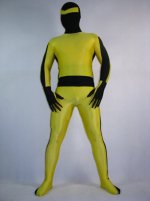 yellow guy.jpg
