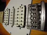 DSCN4621.jpg