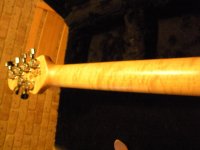 DSCN4630.jpg