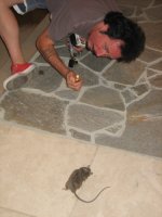 IMG_0270.jpg