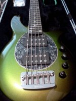 Bongo with Pickguard 2.jpg