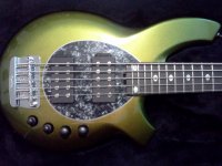 Bongo%20with%20Pickguard.jpg
