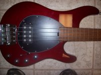 6942d1259754982-95-sterling-fretless-picture-099.jpg