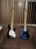Pair of 5s.jpg