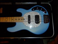 Bass 010.jpg