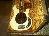 stingray pic 2.jpg