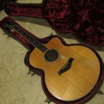 Tommy's Taylor, 12-2-11.jpg