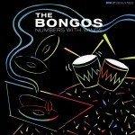 _bongos-number.tn.jpg