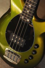 dargie0418tmmsite-1.jpg