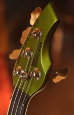 dargie0467talkbass1-1.jpg