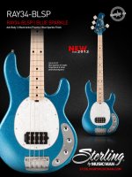 ray34BLSP Poster.jpg