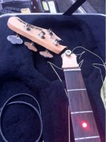 dougies-pink-bass-1302421302.jpg