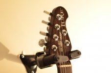 EBMM Luke True Gold BFR 004.jpg