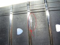 IMG_1004.jpg