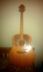 Ernie Ball Acoustic Guitar1.jpg