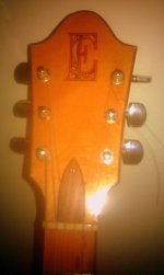 Ernie Ball Head of Guitar.jpg
