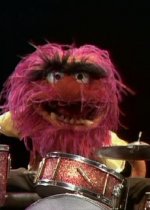 AnimalS1.JPG