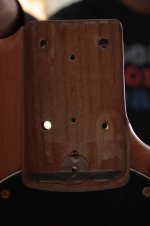bass_3578.jpg