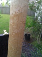 Blackie Birds Eye.jpg