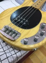 Musicman Stingray Japan cont a.jpg