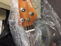 From MusicMan Vault.jpg