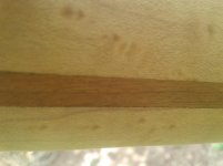 20190423_123502.jpg