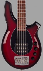 Bongo 5HS mod, closeup.jpg