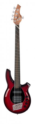 Custom Bongo BFR Fanned Frets.jpg