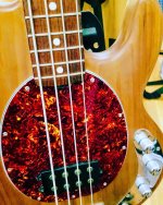 stingray2.jpg