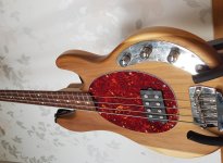 stingray3.jpg