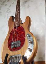 stingray3__DL.jpg