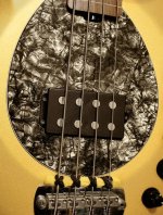 BONGO GOLD 0717 E3-C1 WM.jpg