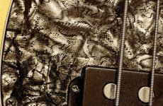 BONGO GOLD - PG DETAIL 0717 E2-C2.jpg BONGO GOLD - PG DETAIL 0717 E2-C2.jpg