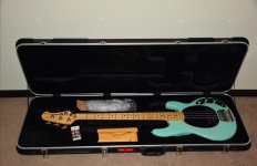 SmoothieInCase19.jpg
