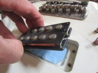 IMG_3870 (1).jpeg