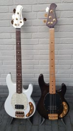 Gouden duo.jpg
