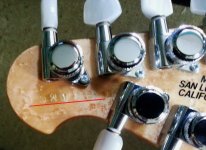 Luke headstock.jpg