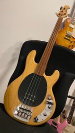 stingray1.jpg stingray1.jpg